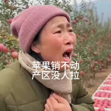 红富士苹果全国代收代发