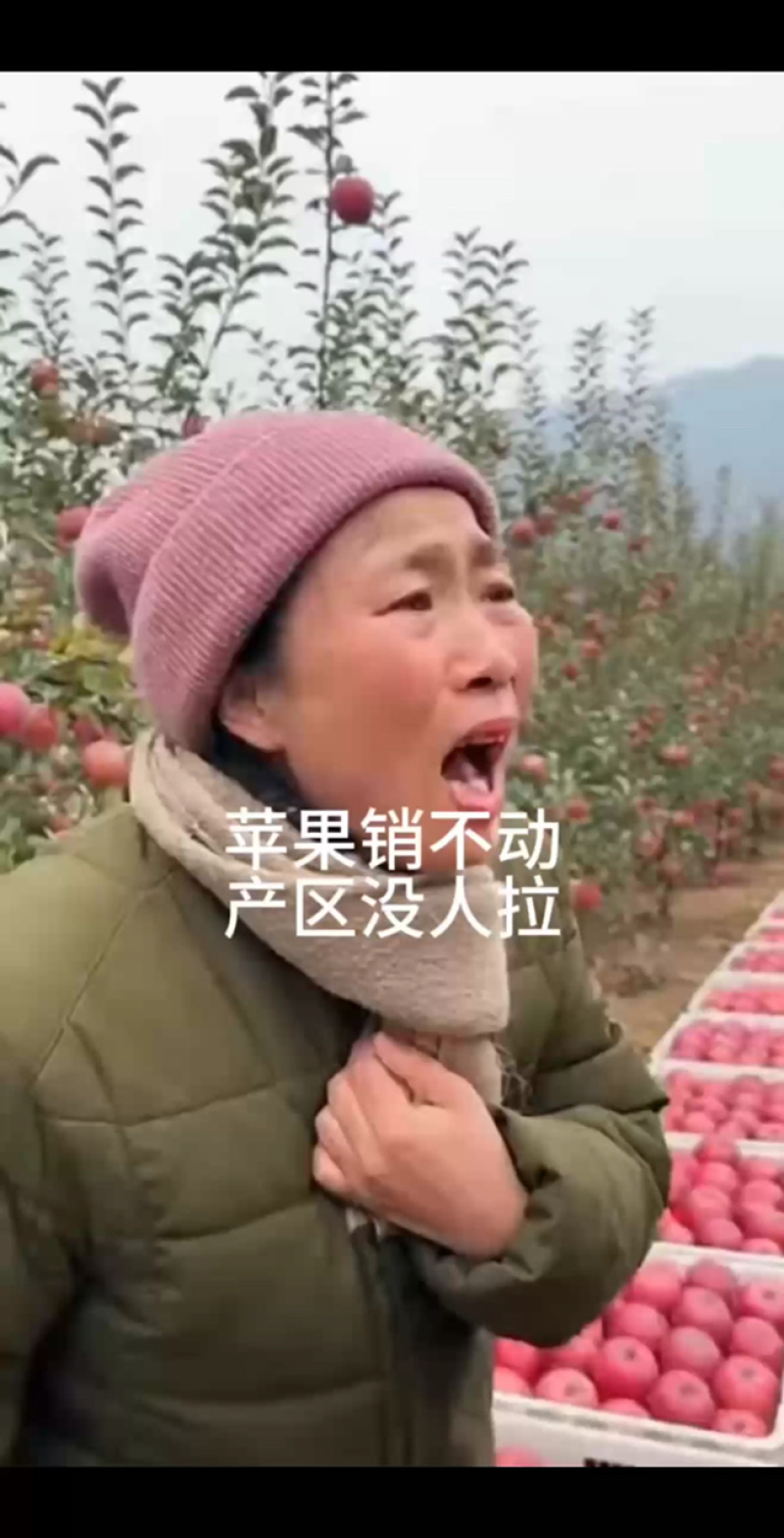 红富士苹果全国代收代发