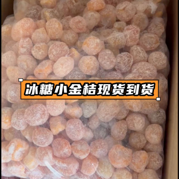 冰糖小金桔现货