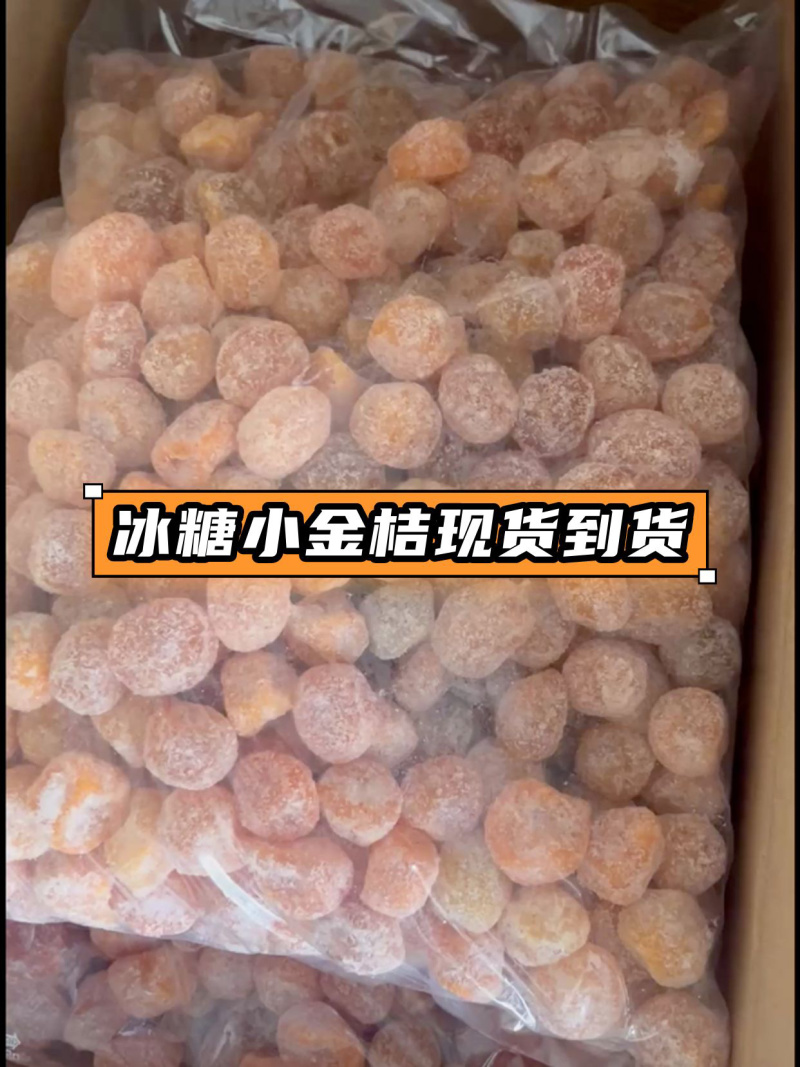 冰糖小金桔现货