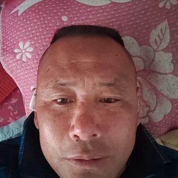 三元育肥仔猪常年供应，防疫到位，代办运输