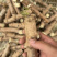 木薯种苗木薯种子基地自销大量有货品质保障欢迎咨询