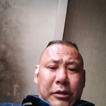 山东沂蒙山芋头价格产地货源充足质量保证代办一切手续