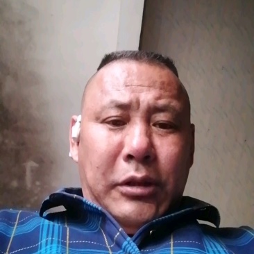 绿皮西葫芦0.4斤以上