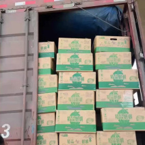 万亩大棚西瓜8424自生苗，支持电商对接欢迎各地老板致电