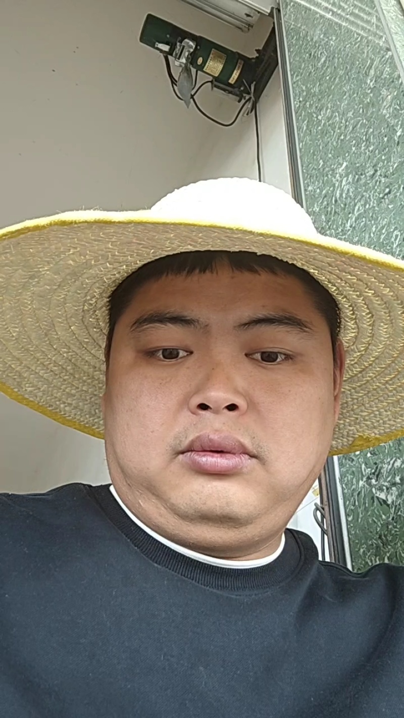四川细叶麦冬苗，一手货源保质保量基地直发量大从优