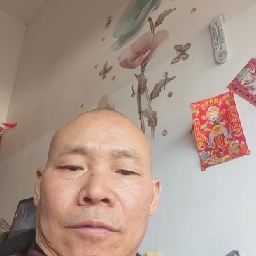 四川白蒜苗基地直发，欢迎来人来电看贷定货！
