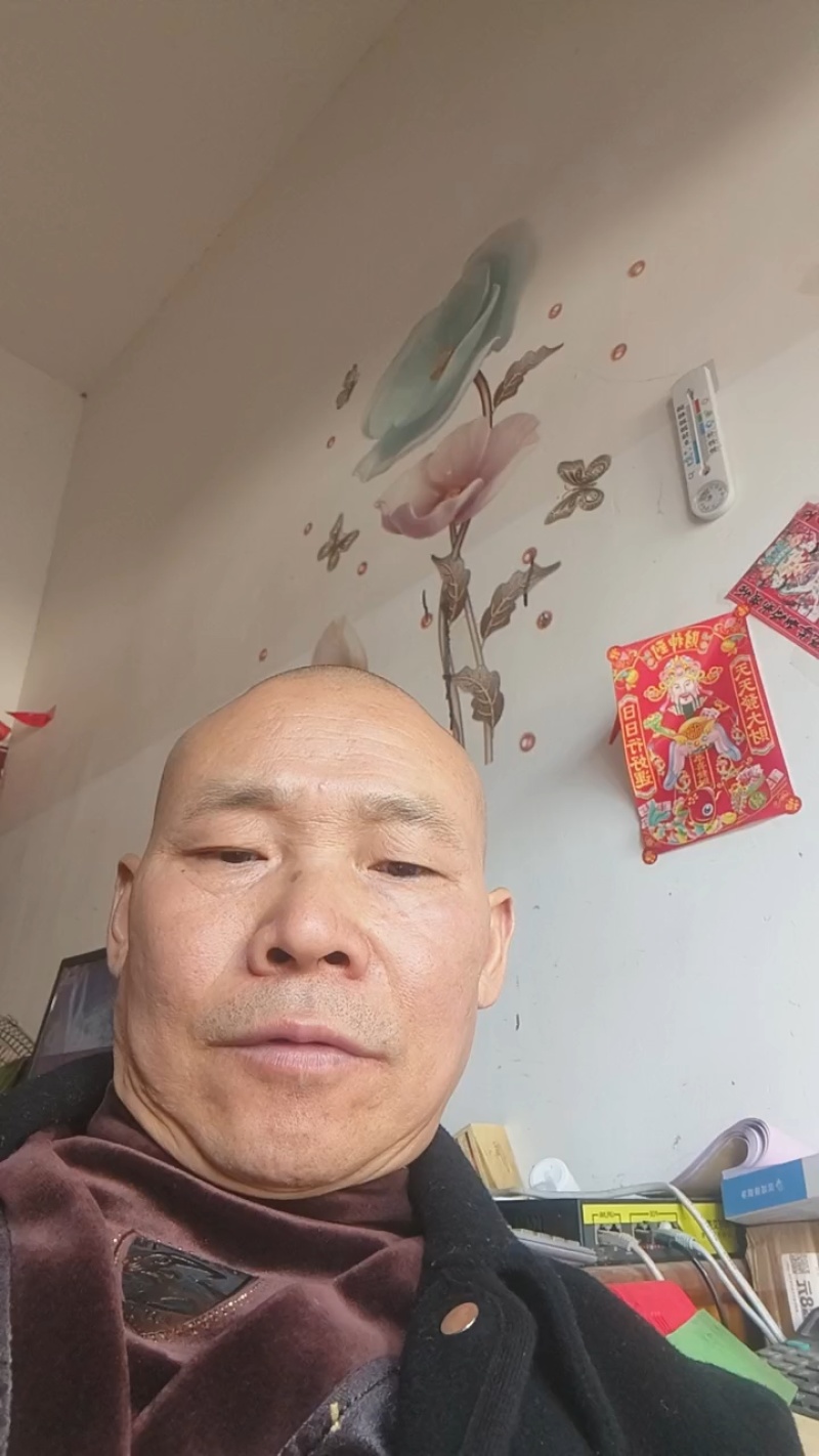 四川白蒜苗基地直发，欢迎来人来电看贷定货！