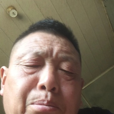 不知火（丑八怪）柑橘
