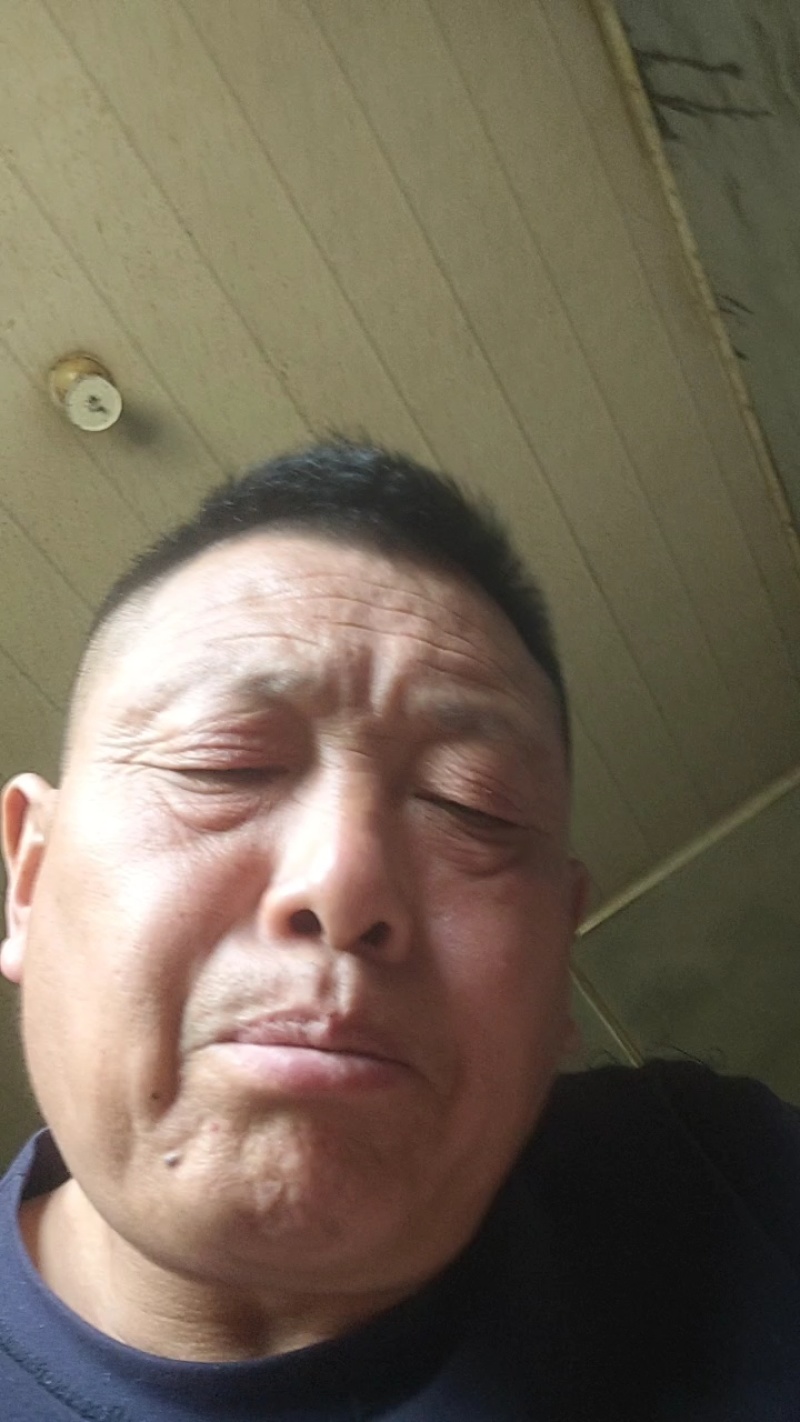 不知火（丑八怪）柑橘