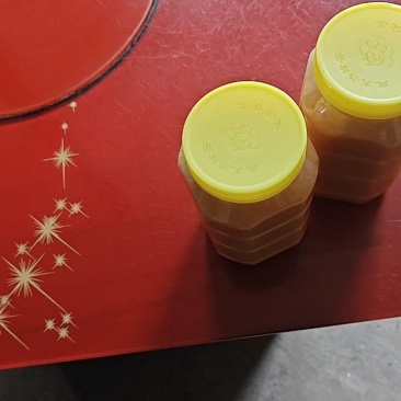 蜂蜜悬岩挂桶养殖