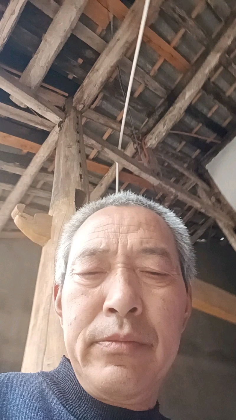 竹虫产地直发货源充足量大从优品质保证欢迎来电咨询订购