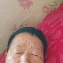 本店常年供应中蜂蜂蜡，蜂农一手货源，诱蜂绝品，实惠好货。