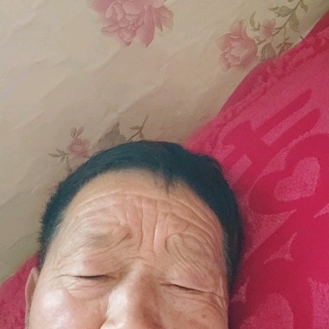 本店常年供应中蜂蜂蜡，蜂农一手货源，诱蜂绝品，实惠好货。