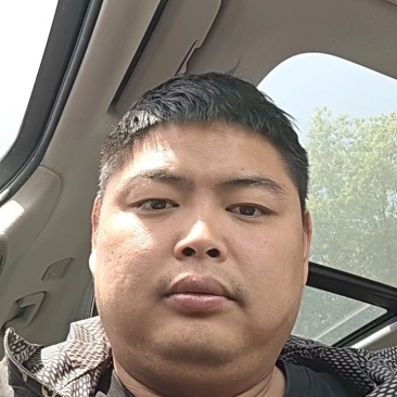 玉米秸秆青储饲料，大量供应货源充足，量大从优