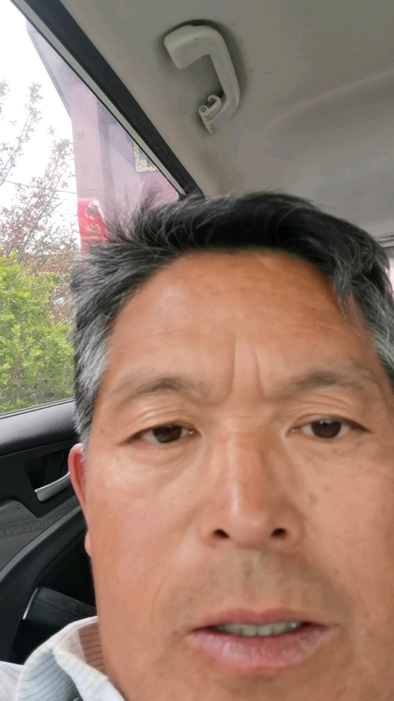 优选双仁酸枣苗，嫁接品种出仁率高、药用价值高、早结果丰产