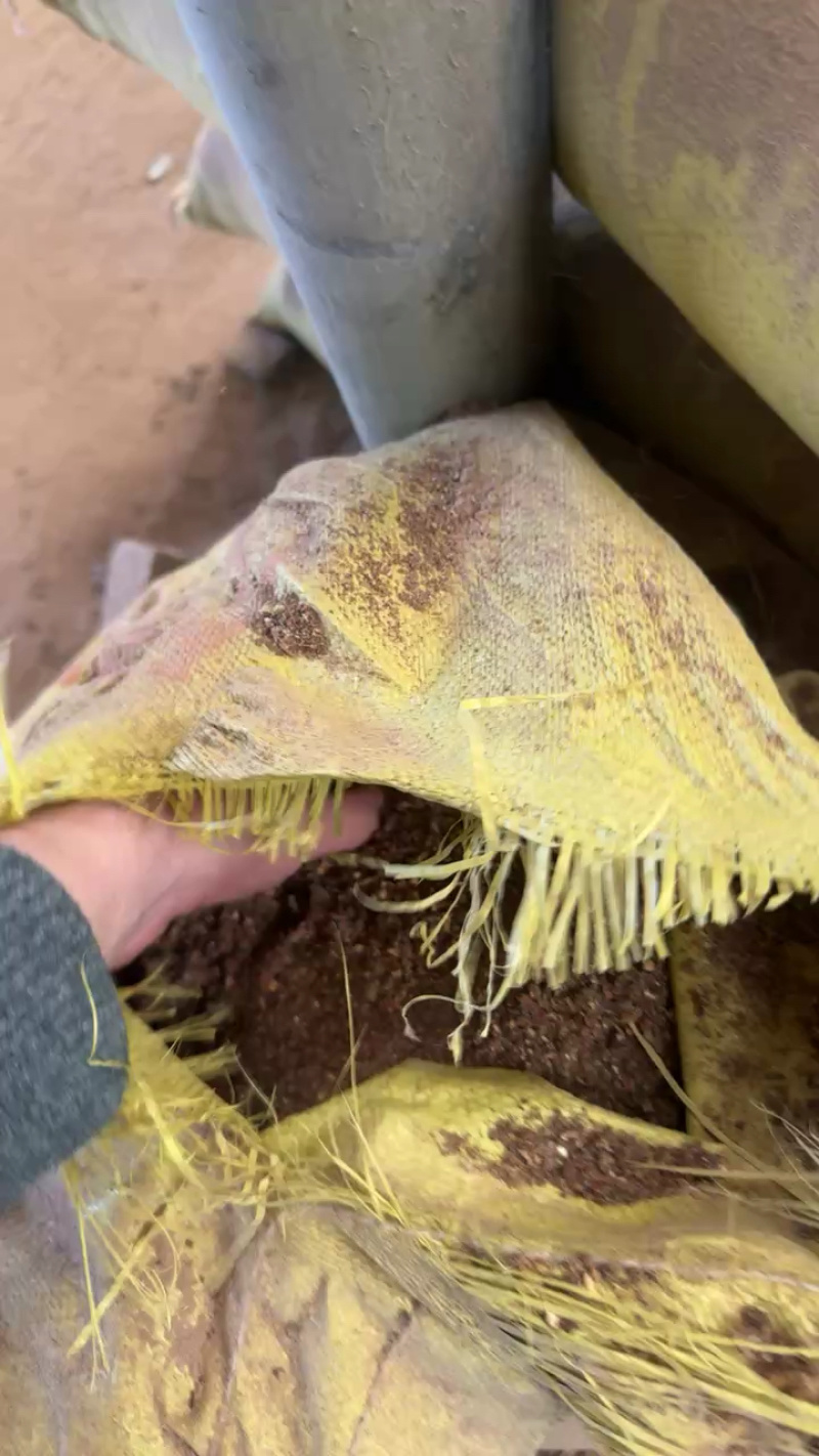 红枣粉高糖份喂牛羊鸡鸭鹅育肥快