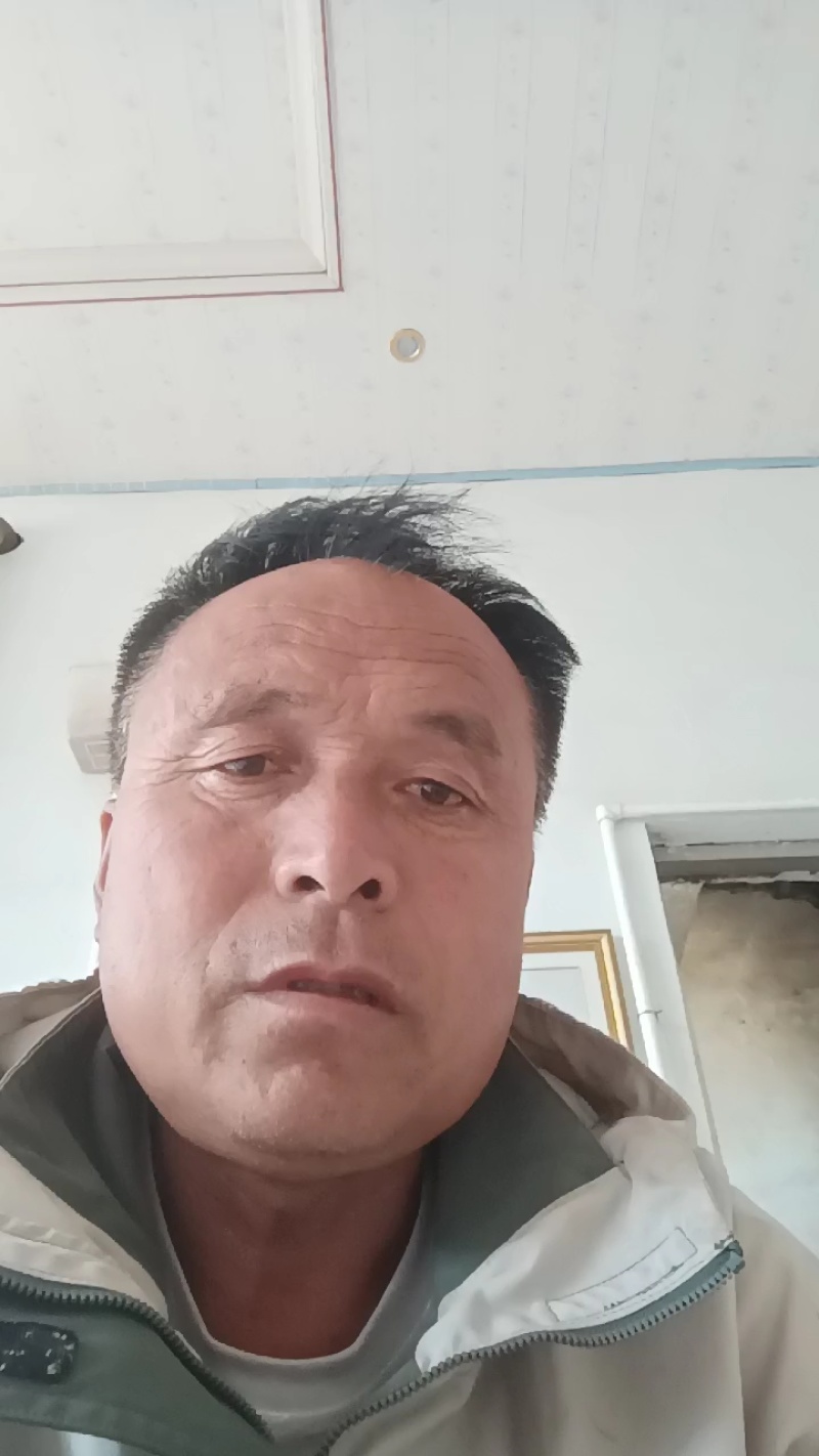 山东惠民大棚优质菠菜继续发货中！保质保量，全国供货