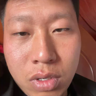 小叶女贞造型树