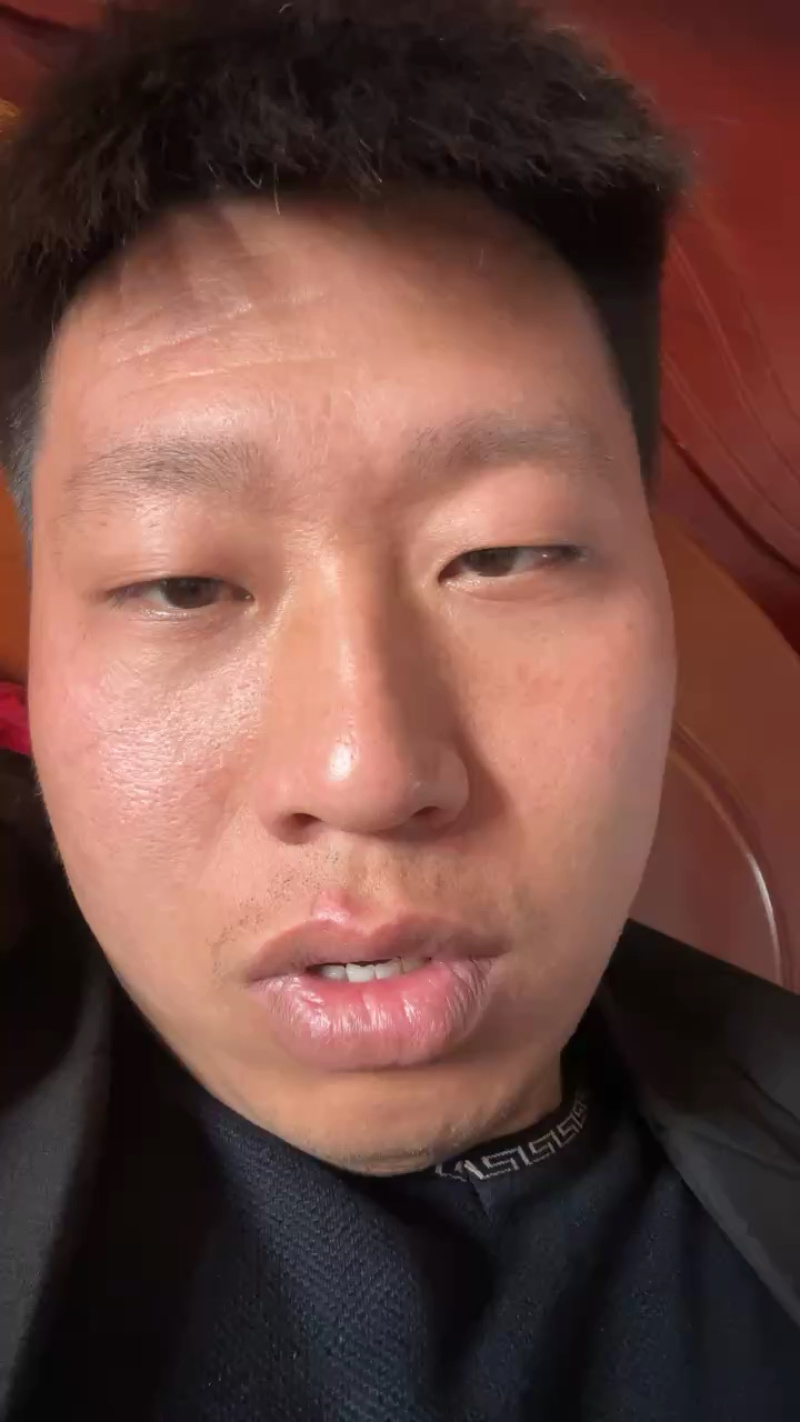 小叶女贞造型树