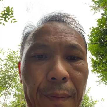 嘉宝果