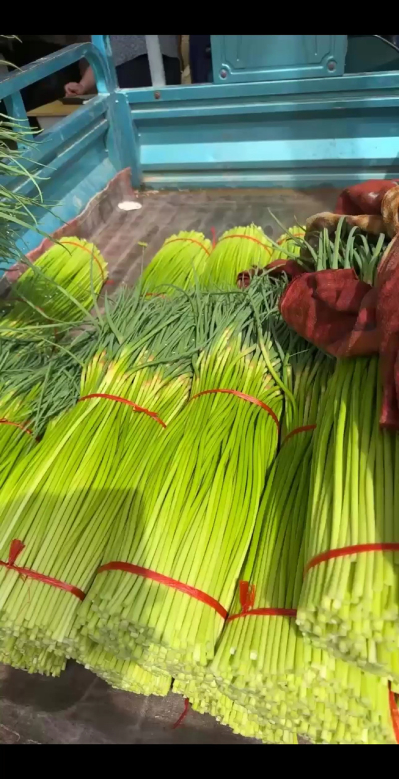 蒜薹量大质优，马上发车！