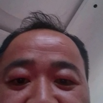 扇贝鲜活新鲜港湾贝带壳超大扇贝海鲜水产海捕贝类