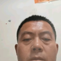 色青花空气能烘干品质良好