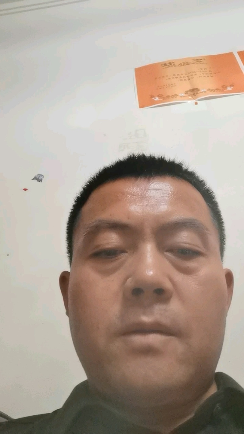 色青花空气能烘干品质良好