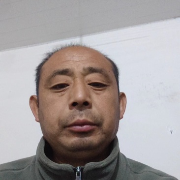 釜山88圣女果，大量上市，自然成熟，一手货源产地真发。