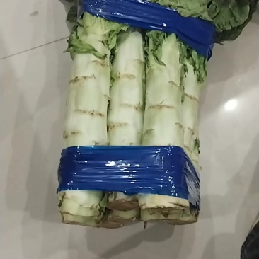 陕西白笋斤半起步，水美个头大，正装货中