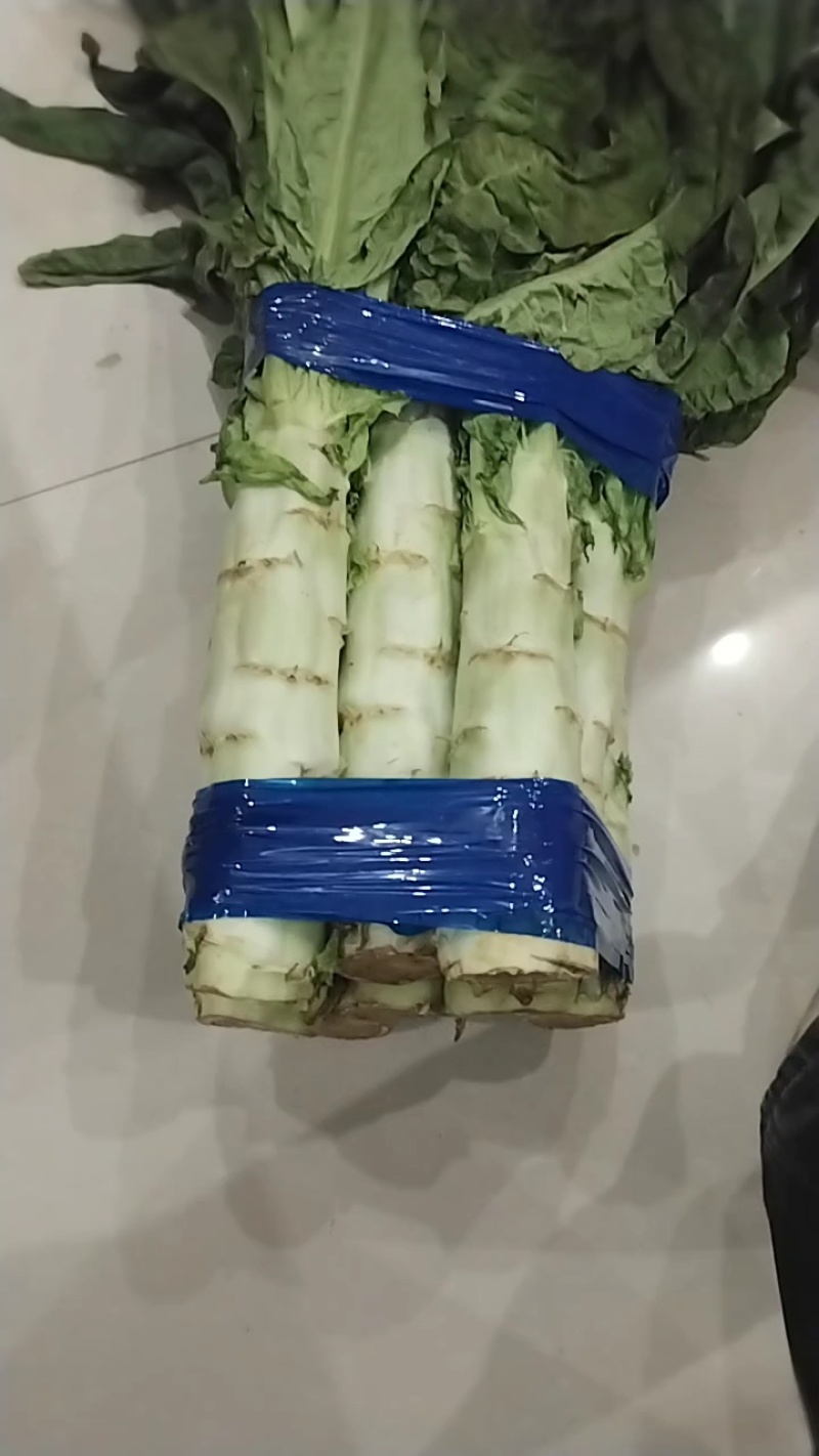 陕西白笋斤半起步，水美个头大，正装货中