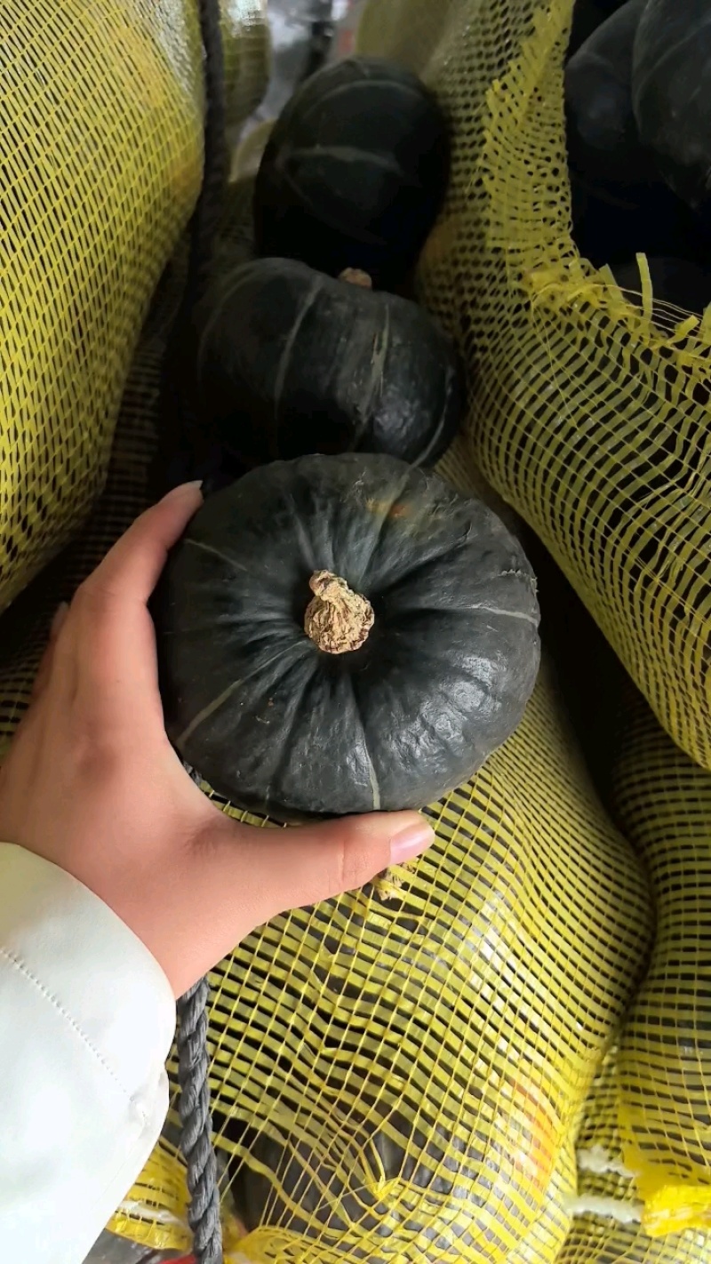 精品原包爆粉