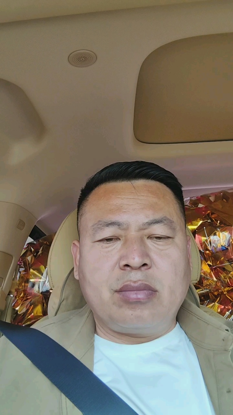 百亩菠菜采摘
