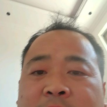 钉螺鲜活新鲜去尾螺丝尖螺冷冻长尾螺海锥烧烤食材海鲜批