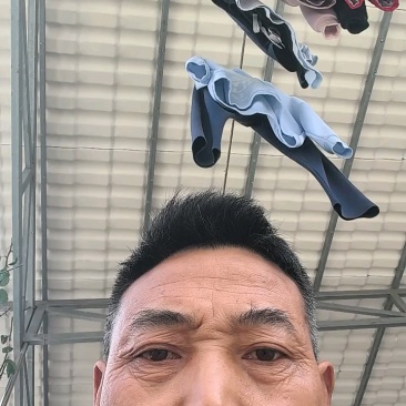 秭归脐橙中华红