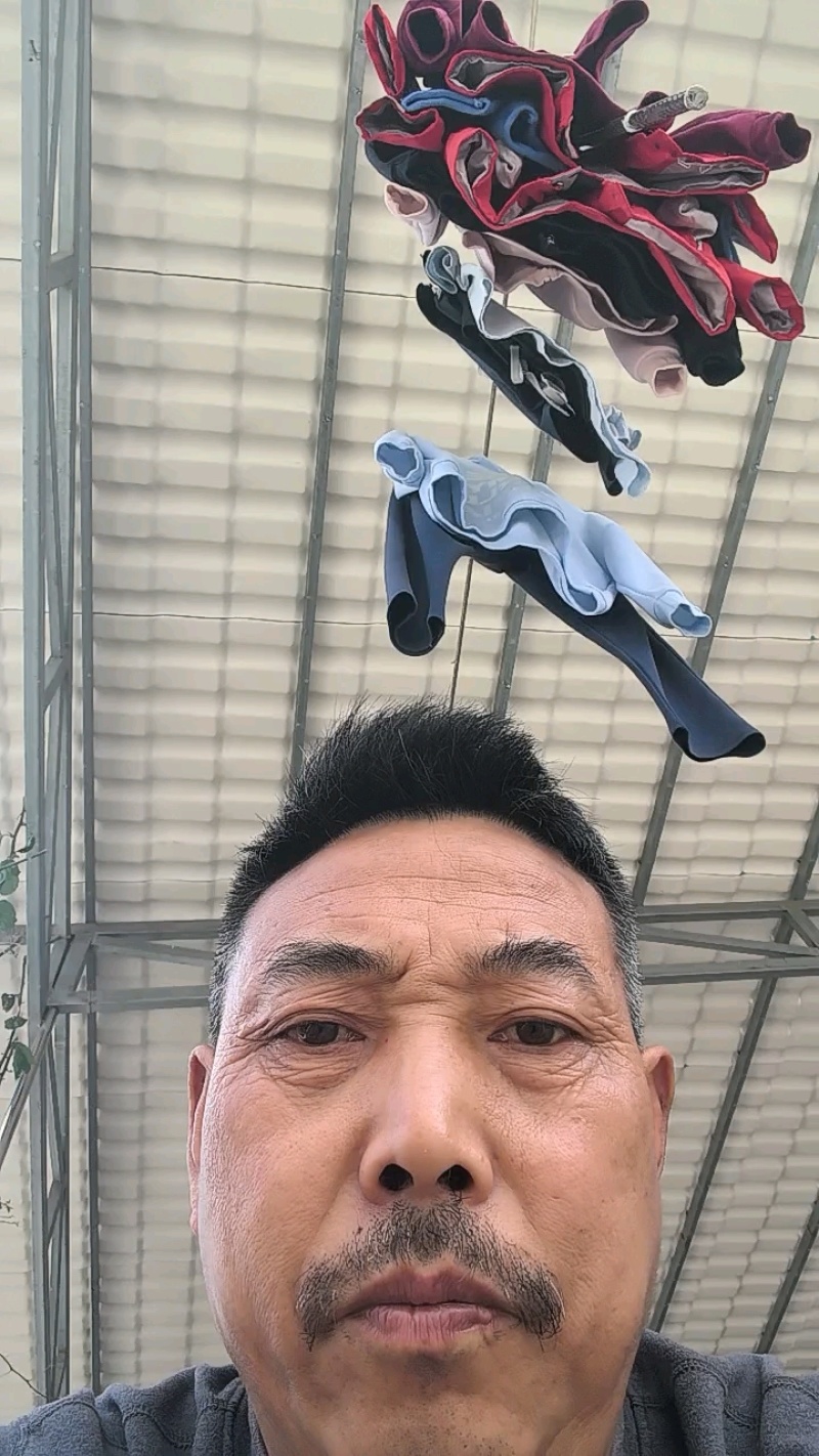 秭归脐橙中华红