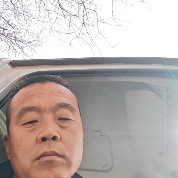 河北苹果片苹果干源头工厂/厂家直发/量大从优/欢迎联系