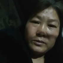 优质金银花苗/视频看货/品质保证/欢迎老板来订购