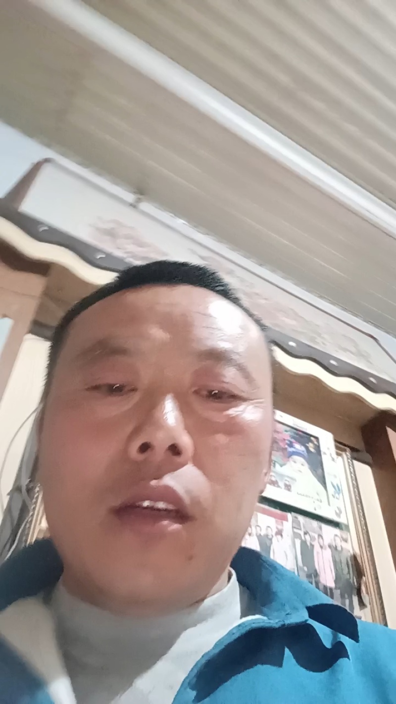 蓝莓，现摘现发