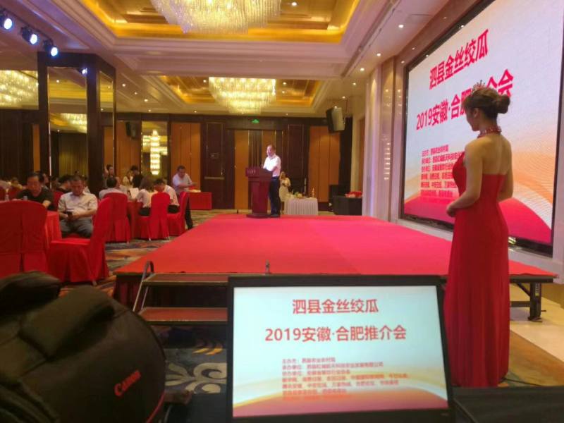 金丝绞瓜万亩供应，对接市场档口，电商商超，价格美丽