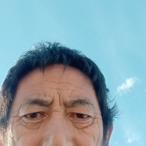 【原产地认证】蟠桃苗各种桃树保成活欢迎咨询下单
