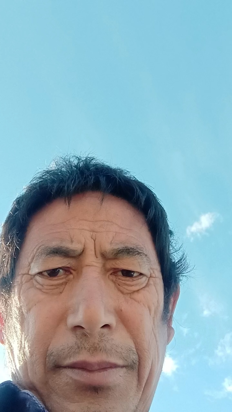 【原产地认证】蟠桃苗各种桃树保成活欢迎咨询下单