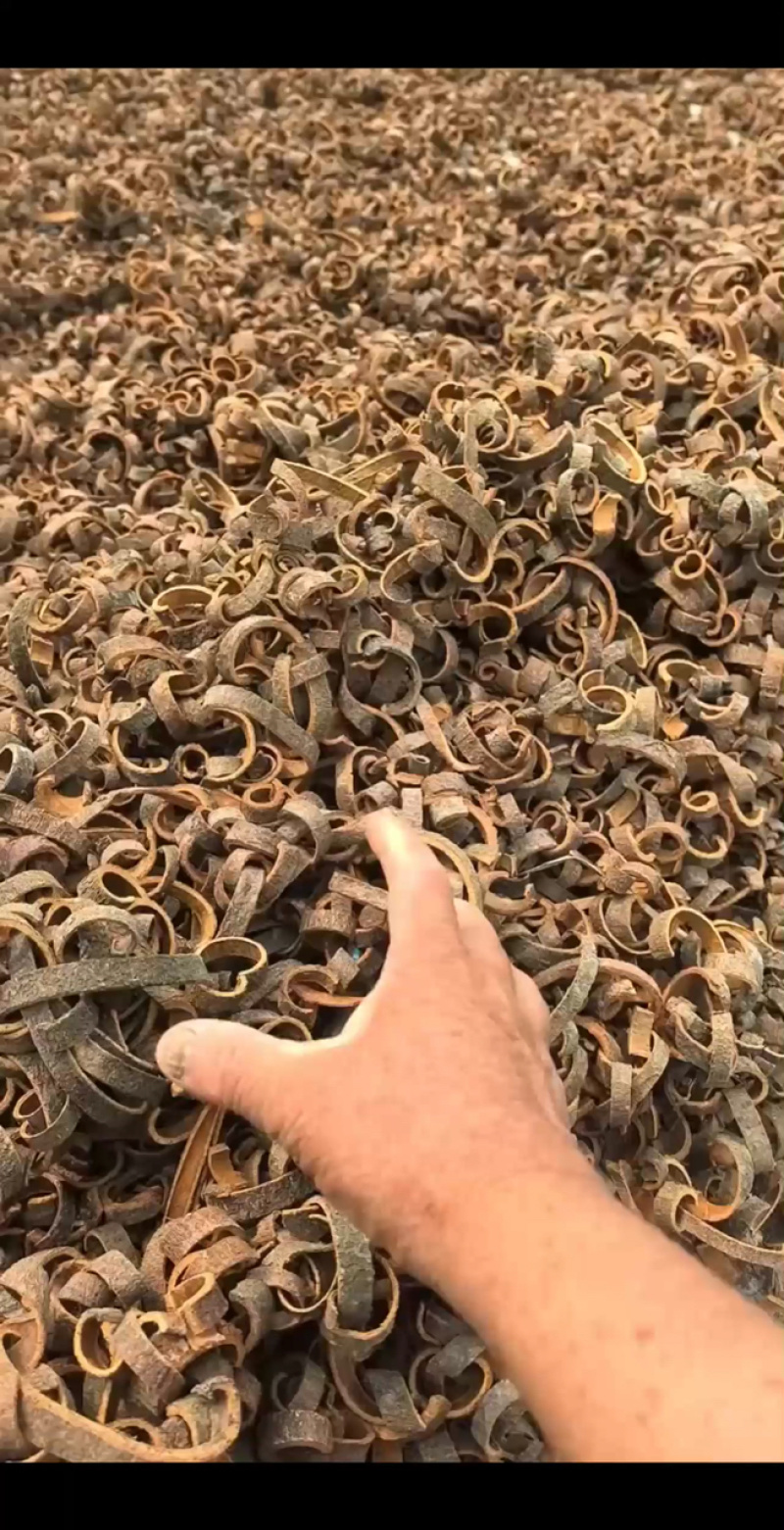 新货黑皮桂丝，产地一手货源保质保量，电商市场供应