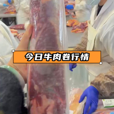 内蒙古精品黄膘牛肉牛肉卷/诚信经营/量大从优/工厂直发