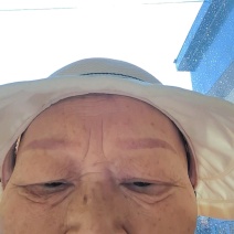 佛手种植基地，佛手两年苗，根系发达，自产自销，