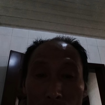 竹荪