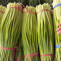 纯鲜薹，粗细适中，长度60-70公分，随行就市，大量走货