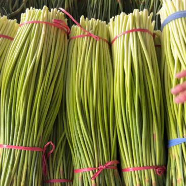 纯鲜薹，粗细适中，长度60-70公分，随行就市，大量走货