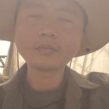精品娃娃菜，产地直供，一手货源，可视频看货